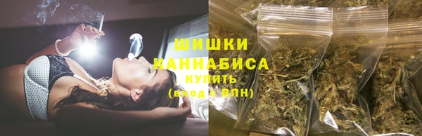 PSILOCYBIN Белоозёрский